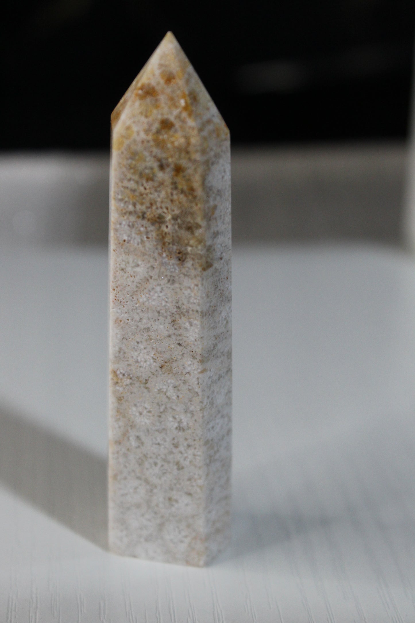 Fossil Coral Jasper Tower